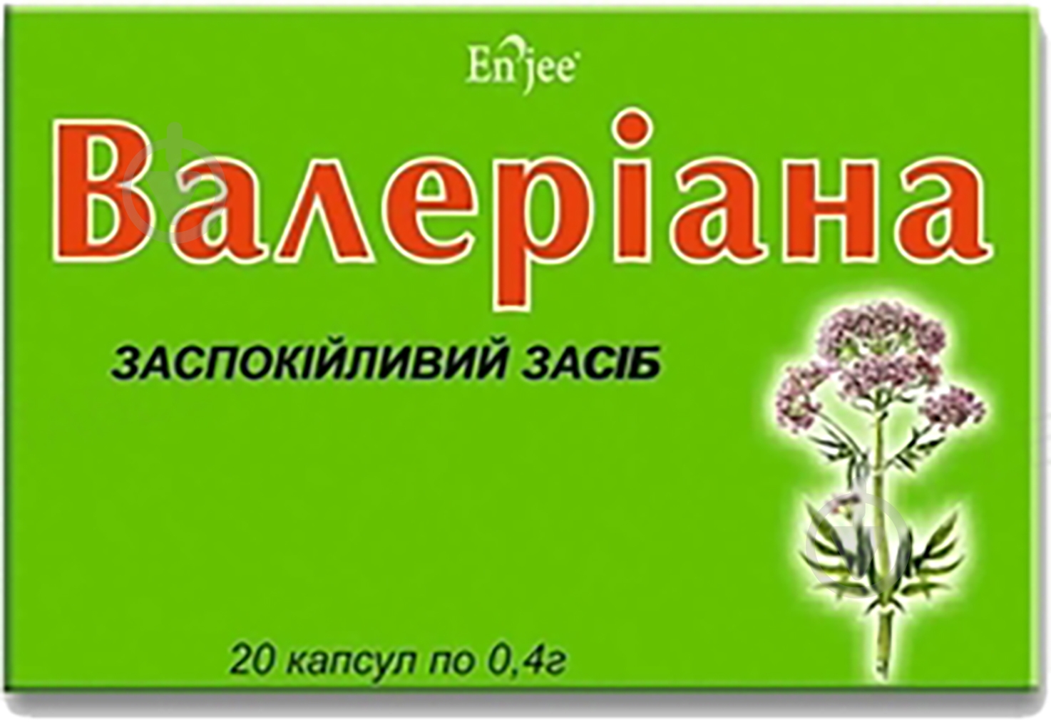 Валериана ENJEE капсулы 400 мг - фото 1 Валериана ENJEE капсулы 400 мг - фото 1