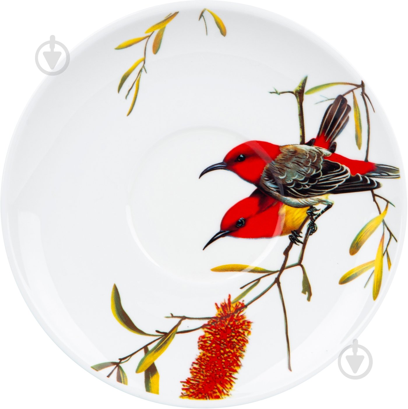 Чашка с блюдцем Limited Edition Bird 550 мл в подарочной упаковке (YF6009) - фото 3 Чашка с блюдцем Limited Edition Bird 550 мл в подарочной упаковке (YF6009) - фото 3