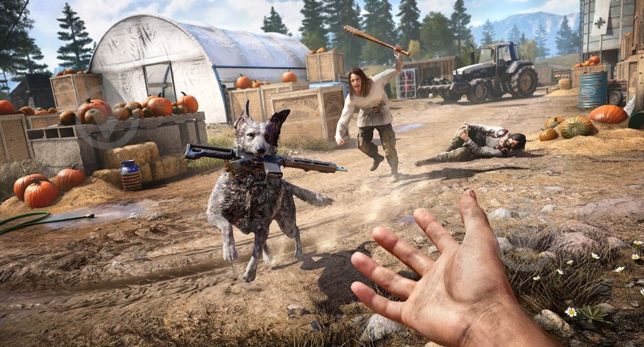 Гра Sony Far Cry 5 (PS4, російська версія) - фото 7