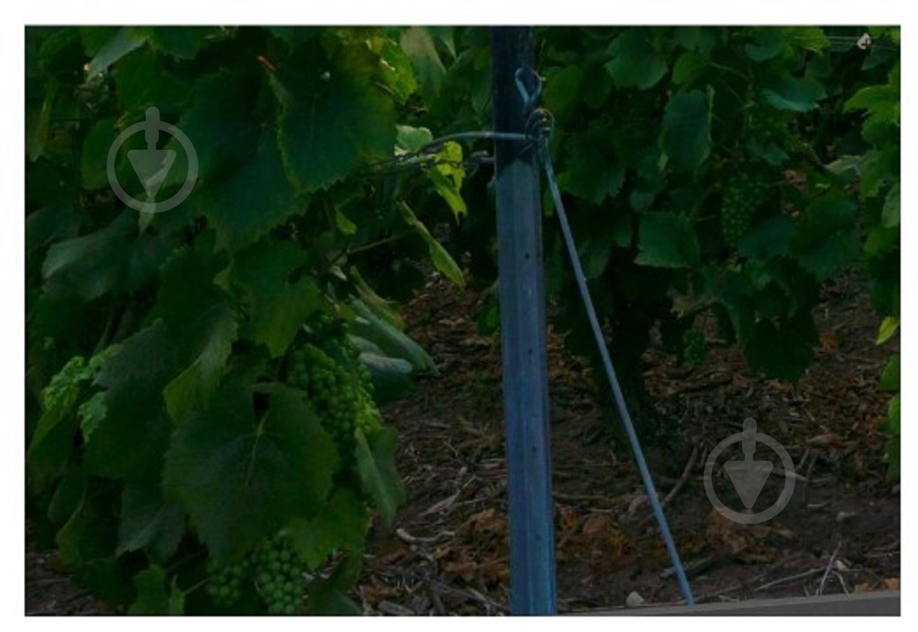 Телевизор Thomson 50QA2S13 Android TV - фото 4 Телевизор Thomson 50QA2S13 Android TV - фото 4