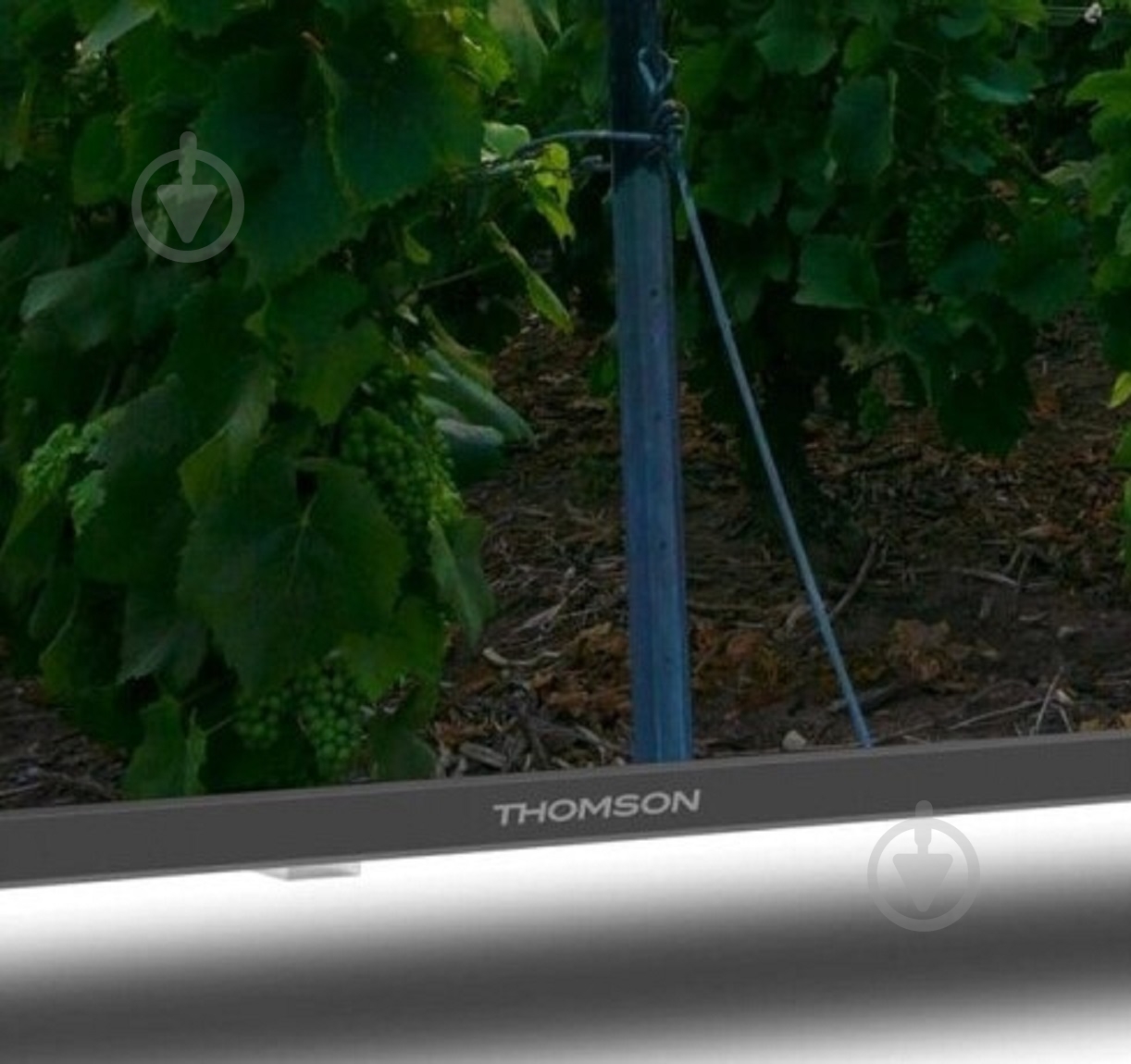 Телевизор Thomson 55QA2S13 Android TV - фото 4 Телевизор Thomson 55QA2S13 Android TV - фото 4