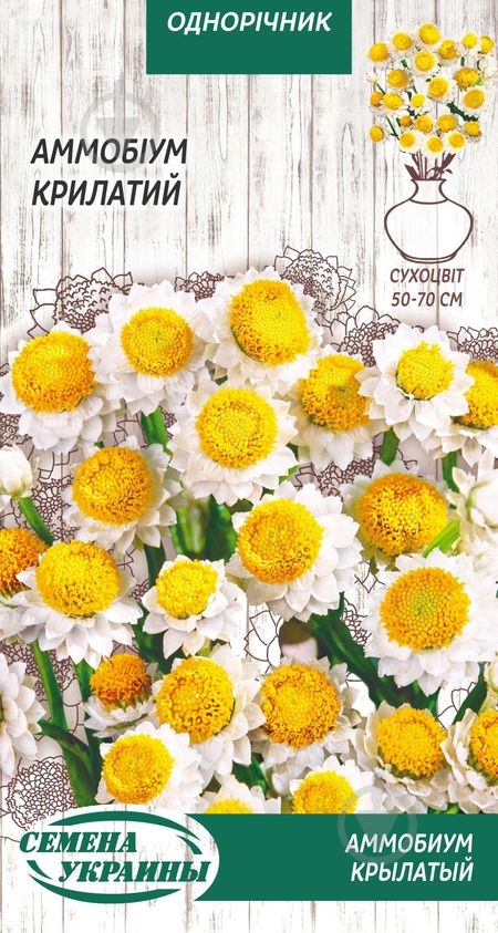 Семена Насіння України аммобиум Крылатый 0,3 г - фото 1 Семена Насіння України аммобиум Крылатый 0,3 г - фото 1