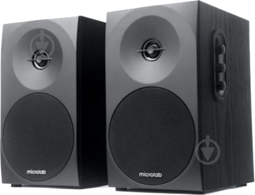 Колонки Microlab B-70 2.0 black - фото 3