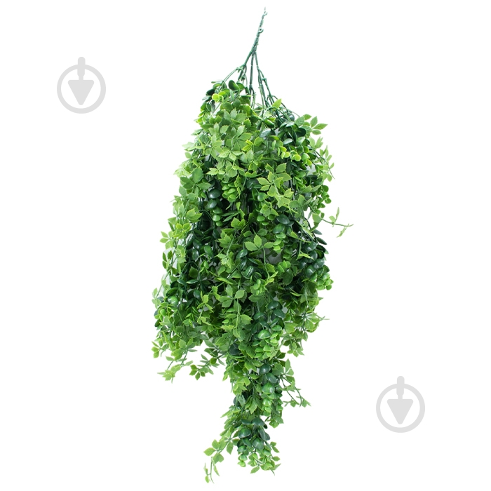 Веточка декоративная Eucalyptus 65 см (AV-03) Engard - фото 1 Веточка декоративная Eucalyptus 65 см (AV-03) Engard - фото 1