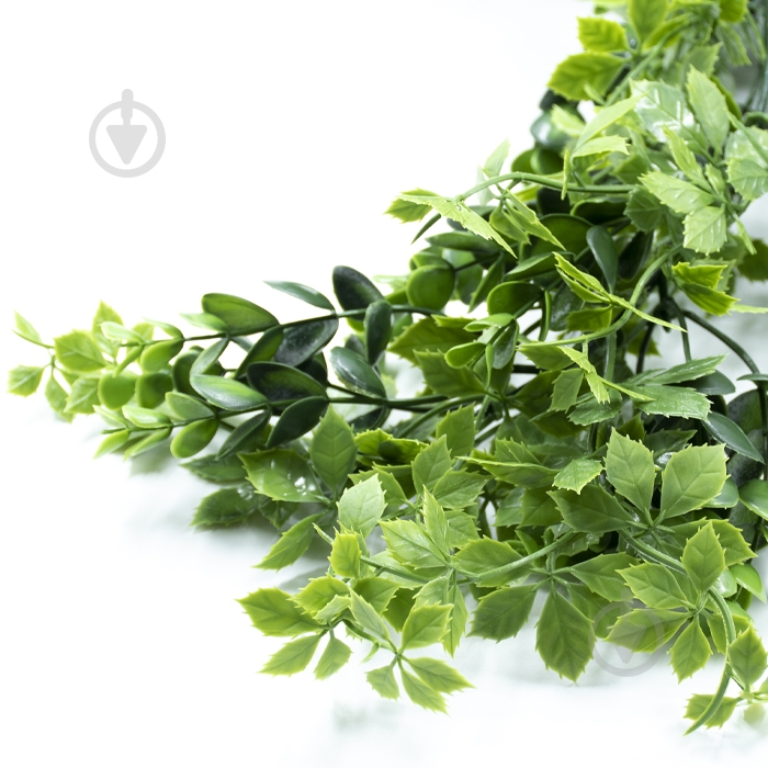 Веточка декоративная Eucalyptus 65 см (AV-03) Engard - фото 6 Веточка декоративная Eucalyptus 65 см (AV-03) Engard - фото 6