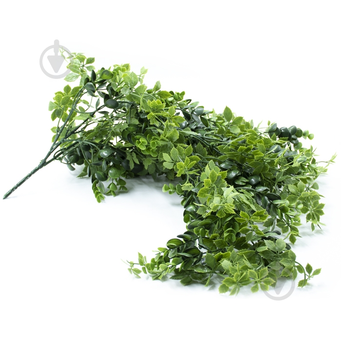 Веточка декоративная Eucalyptus 65 см (AV-03) Engard - фото 5 Веточка декоративная Eucalyptus 65 см (AV-03) Engard - фото 5