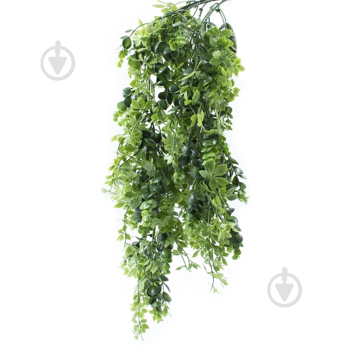 Веточка декоративная Eucalyptus 65 см (AV-03) Engard - фото 3 Веточка декоративная Eucalyptus 65 см (AV-03) Engard - фото 3
