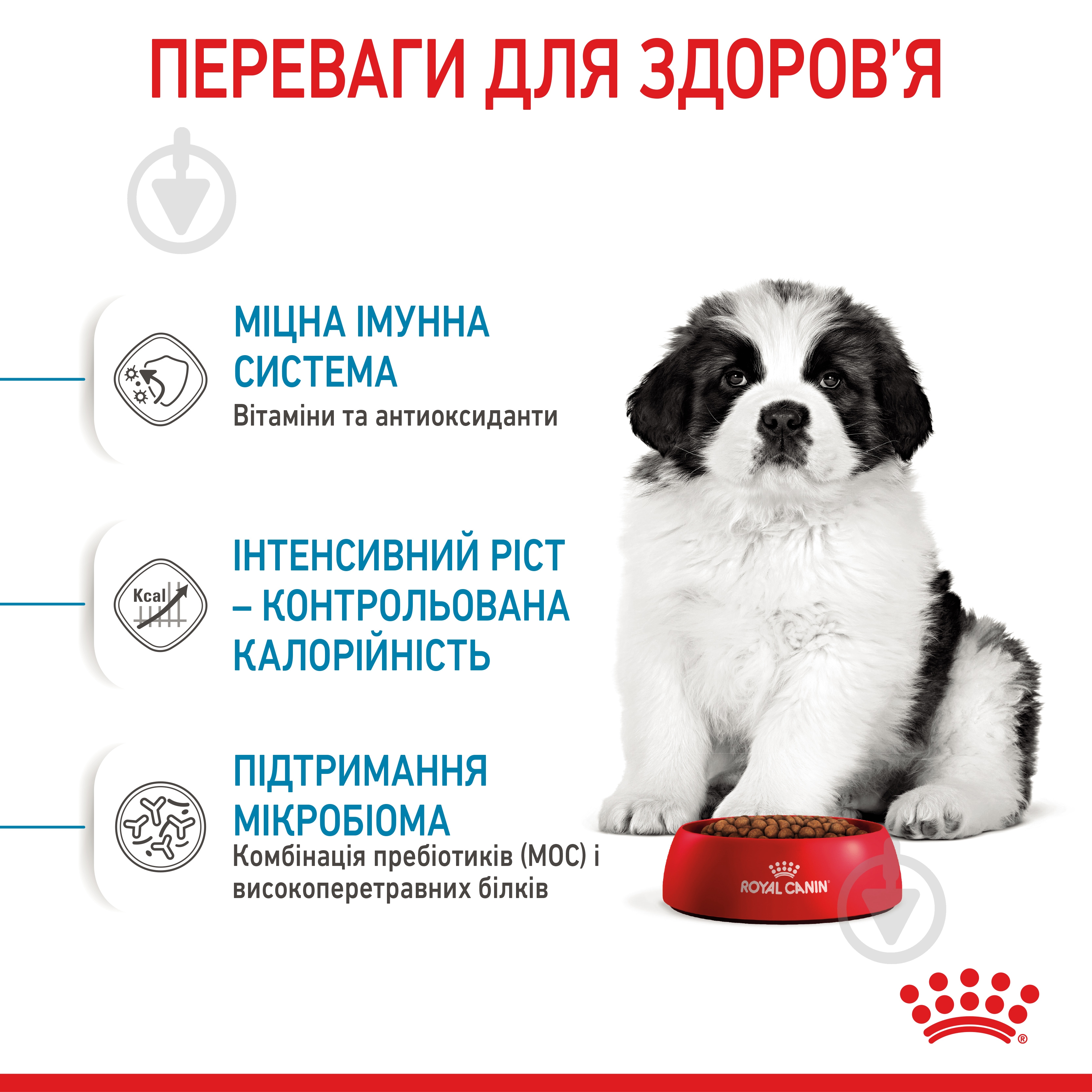 Корм сухой Royal Canin GIANT PUPPY 1 кг (домашняя птица) 1 кг - фото 4