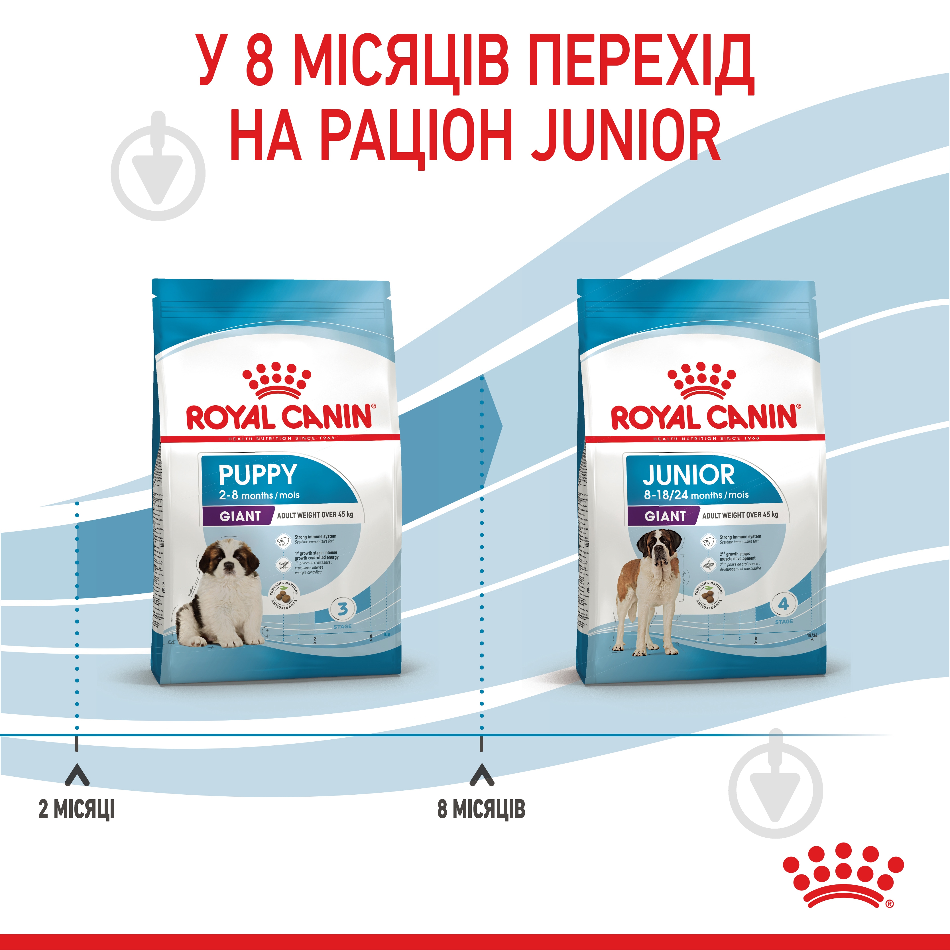 Корм сухой Royal Canin GIANT PUPPY 1 кг (домашняя птица) 1 кг - фото 9