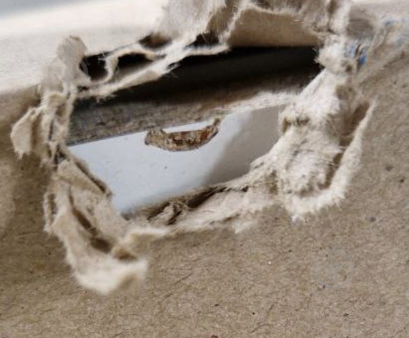 УЦІНКА! Корпус шафи Грейд Санта з мікроліфтом 600х2200х350 мм білий (УЦ №2886) - фото 7