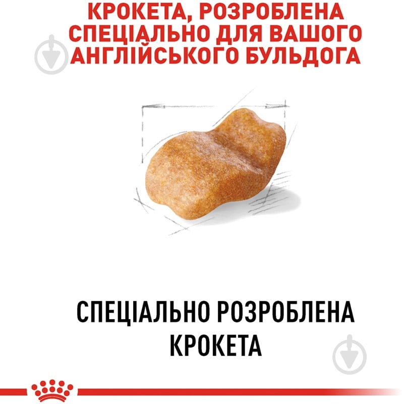 Корм сухой для взрослых собак для средних пород Royal Canin BULLDOG ADULT 12 кг (домашняя птица) 12 кг - фото 4 Корм сухой для взрослых собак для средних пород Royal Canin BULLDOG ADULT 12 кг (домашняя птица) 12 кг - фото 4