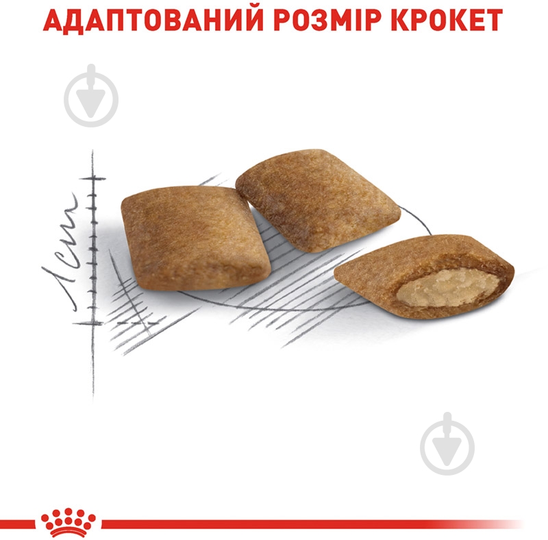 Корм сухой для стареющих кошек от 12 лет Royal Canin Ageing 12+ мясо птицы 2 кг - фото 4