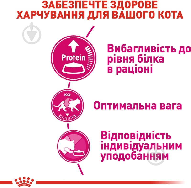 Корм сухой для взрослых кошек, требовательных к питательности корма, в возрасте от 1 до 7 лет Royal Canin Protein Exigent домашняя птица 2 кг - фото 3 Корм сухой для взрослых кошек, требовательных к питательности корма, в возрасте от 1 до 7 лет Royal Canin Protein Exigent домашняя птица 2 кг - фото 3