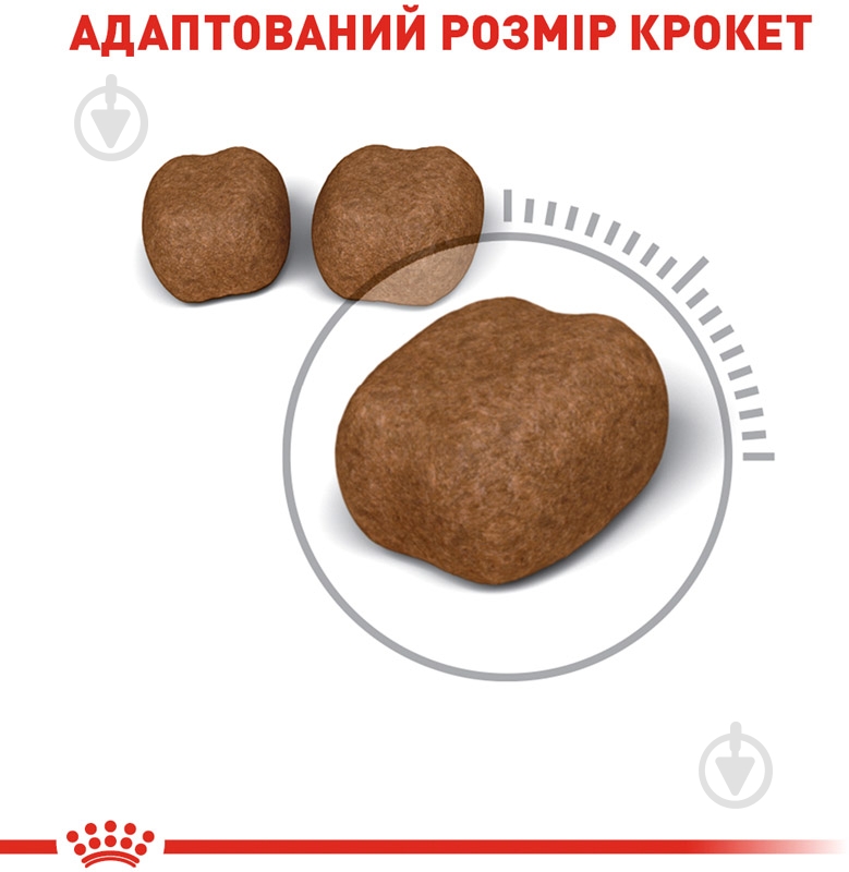 Корм сухой для профилактики образования зубного камня Royal Canin Oral Care домашняя птица, кукуруза, рис 1,5 кг - фото 3 Корм сухой для профилактики образования зубного камня Royal Canin Oral Care домашняя птица, кукуруза, рис 1,5 кг - фото 3