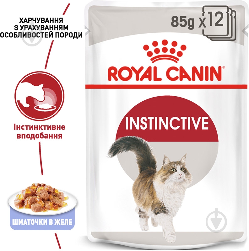 Корм влажный для взрослых кошек Royal Canin Instinctive in gravy в желе мясо 85 г - фото 2