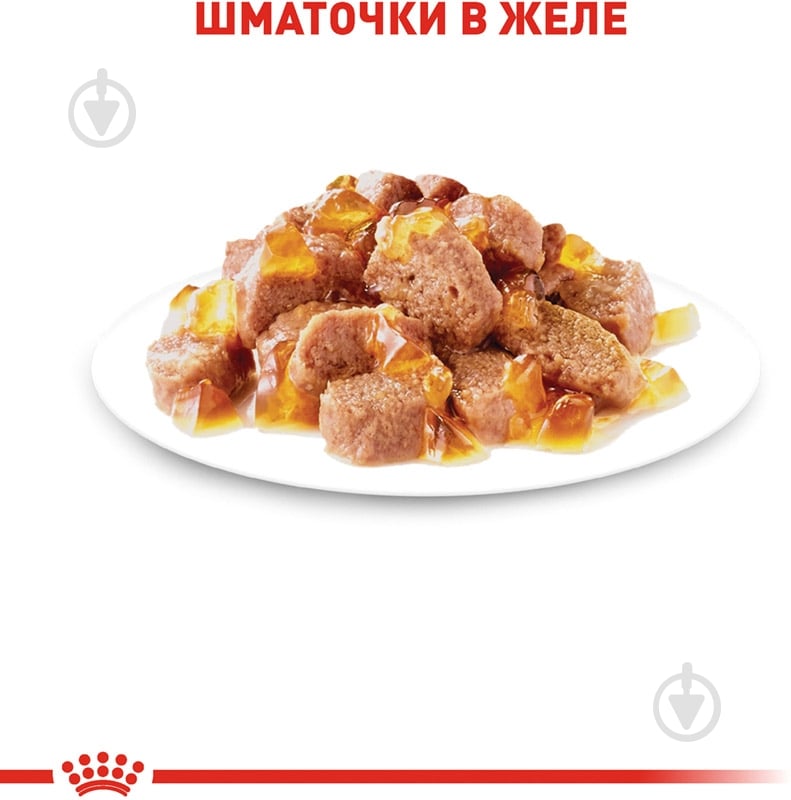Корм влажный для взрослых кошек Royal Canin Instinctive in gravy в желе мясо 85 г - фото 4