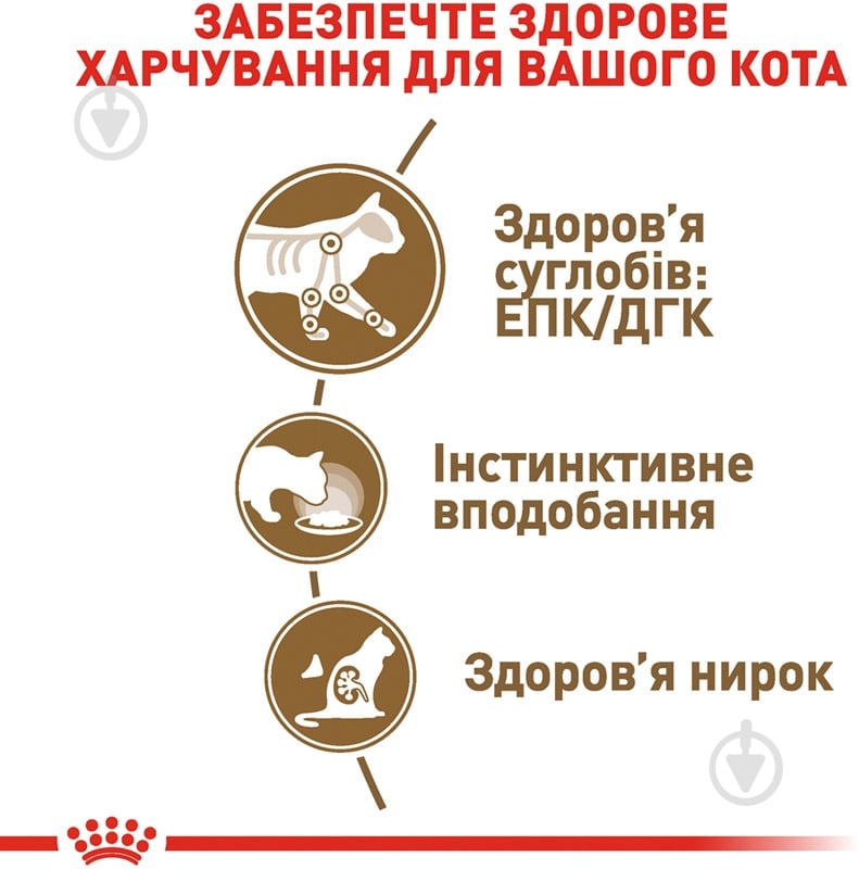 Корм влажный для стареющих кошек от 12 лет Royal Canin Ageing +12 в соусе мясо птицы 85 г - фото 5