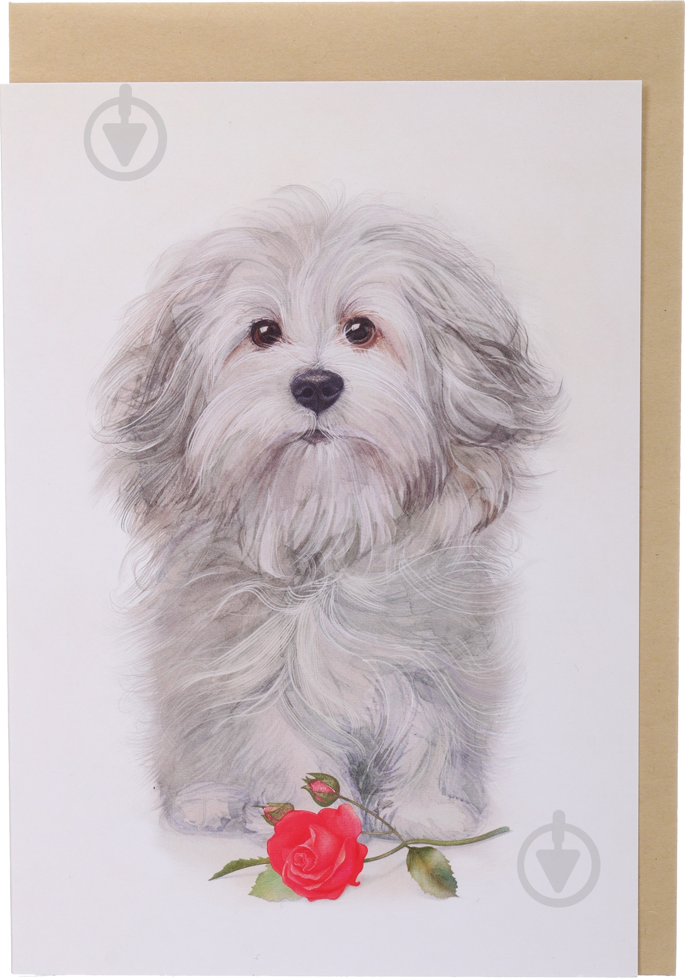 Открытка FZ001 - фото 2