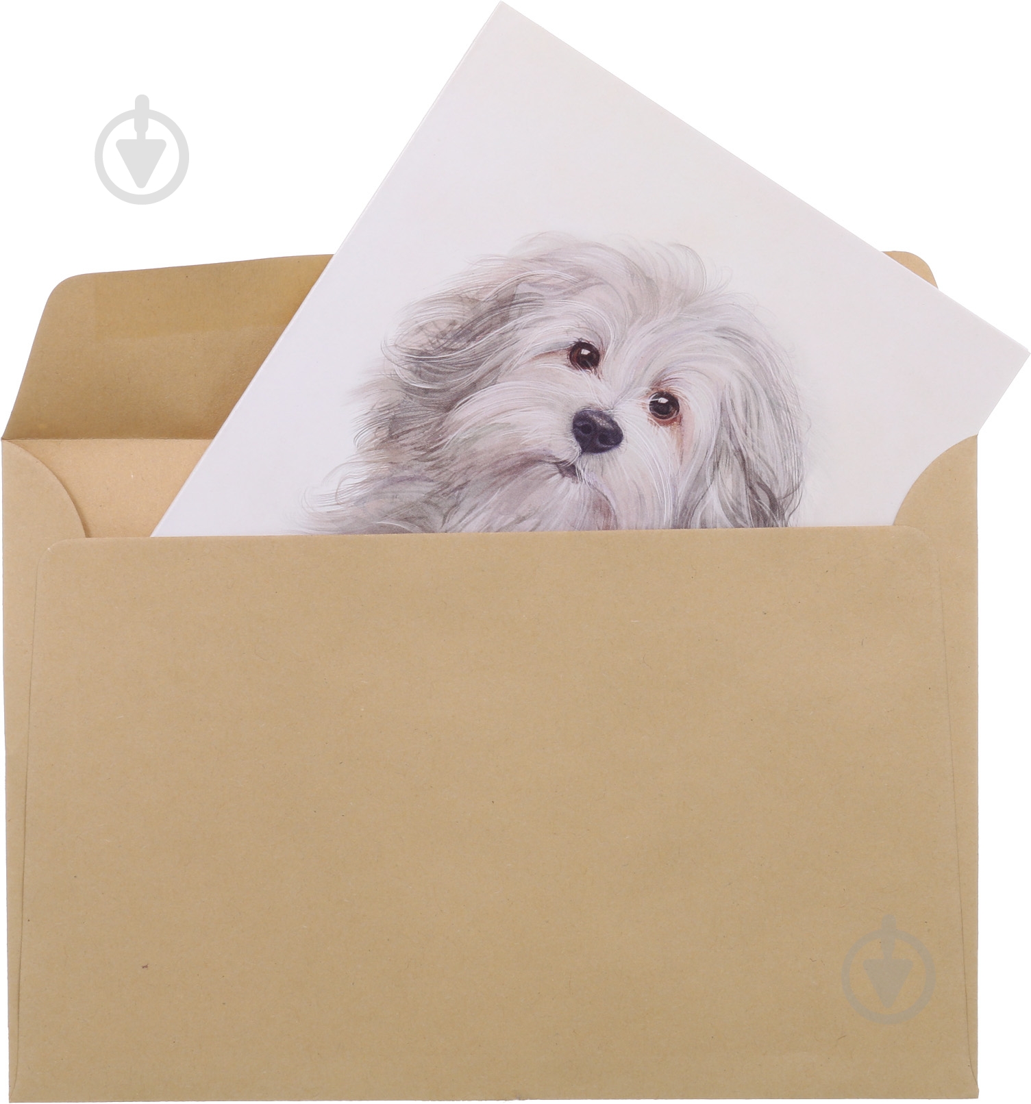 Открытка FZ001 - фото 3