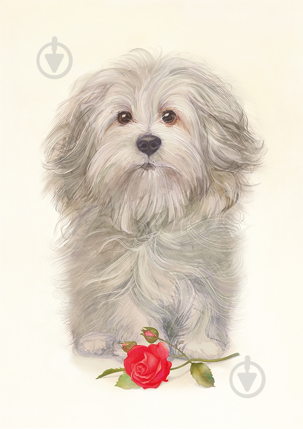 Открытка FZ001 - фото 1