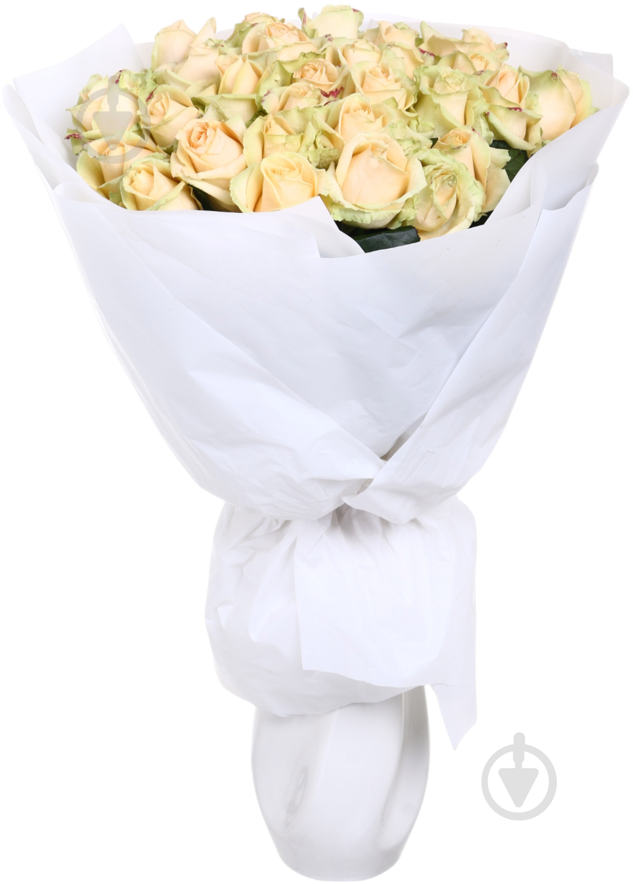 Роза Пич аваланч одноголовая классическая 50 см персиковая (Украина) - фото 3