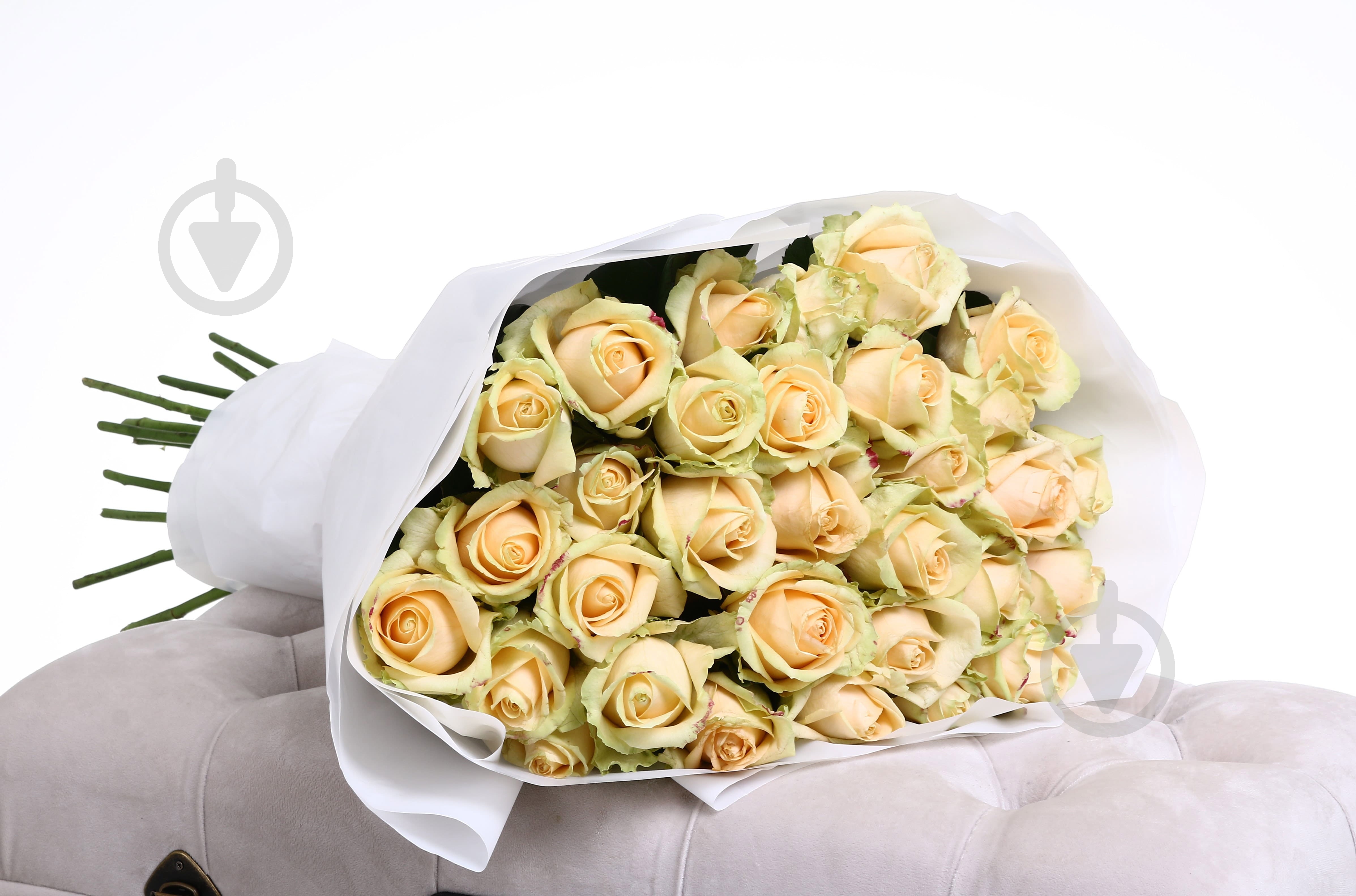 Роза Пич аваланч одноголовая классическая 50 см персиковая (Украина) - фото 4