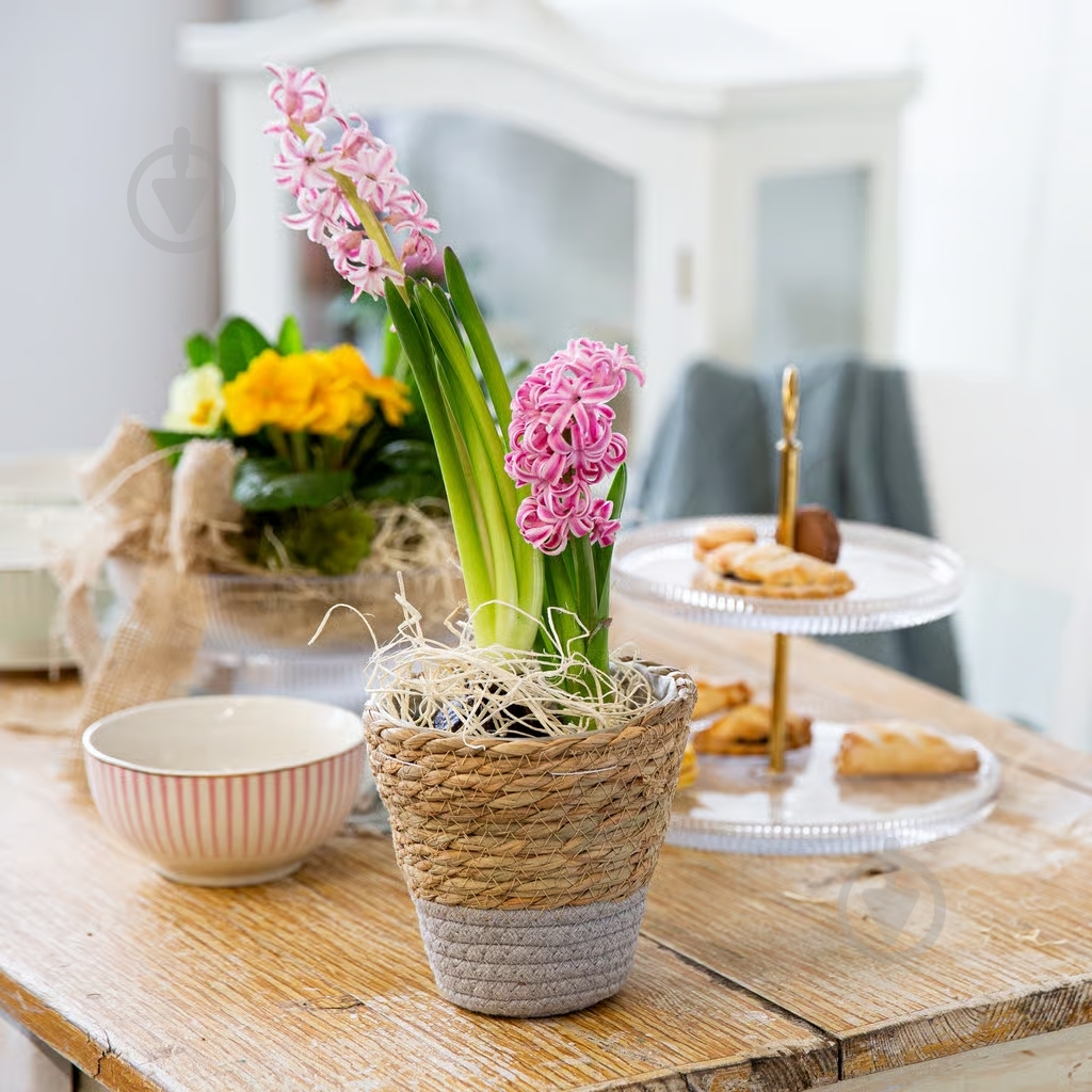 Салатник Ambition BLISS13х7 см бело-розовый - фото 7 Салатник Ambition BLISS13х7 см бело-розовый - фото 7