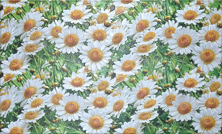 3D-панель с ПВХ Ромашки 602х1002 мм - фото 1 3D-панель с ПВХ Ромашки 602х1002 мм - фото 1