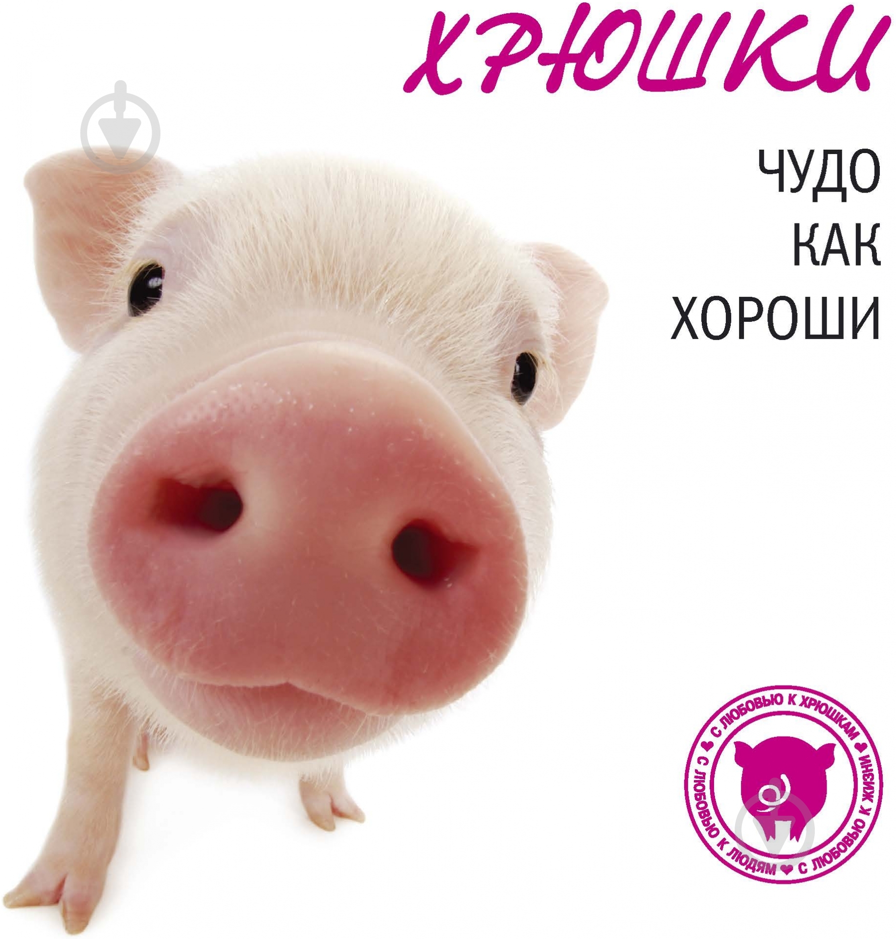Книга «Хрюшки. Чудо как хороши» 978-5-389-06472-0 - фото 1 Книга «Хрюшки. Чудо как хороши» 978-5-389-06472-0 - фото 1