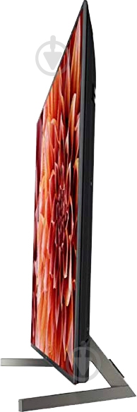 Телевизор Sony KD49XF9005BR XF90 - фото 4