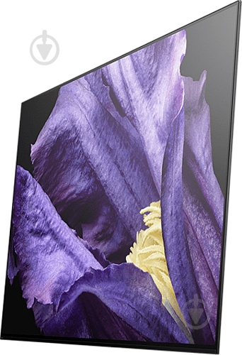 Телевизор Sony KD55AF9BR2 AF9 - фото 4