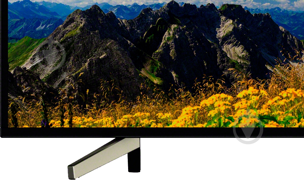 Телевизор Sony KD55XF7596BR XF7596 - фото 4 Телевизор Sony KD55XF7596BR XF7596 - фото 4
