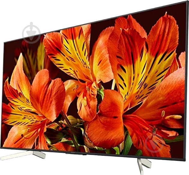 Телевизор Sony KD55XF8596BR XF85 - фото 3