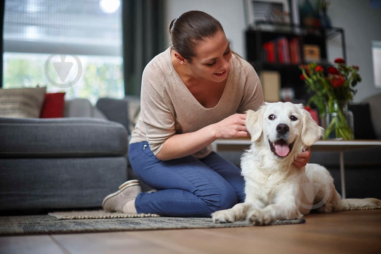 Робот-пылесос Philips SmartPro Active FC8822/01 - фото 11 Робот-пылесос Philips SmartPro Active FC8822/01 - фото 11