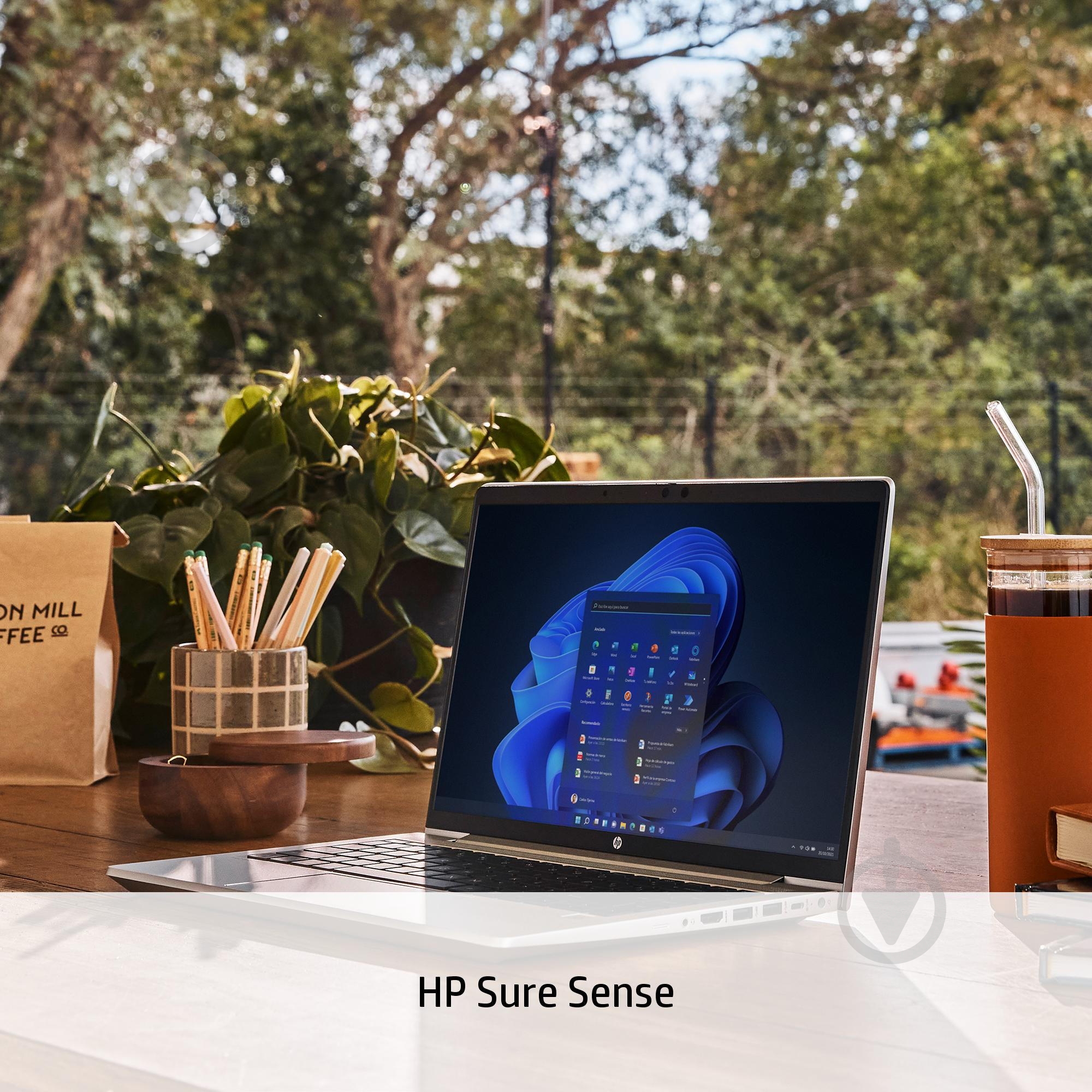 Ноутбук HP 6S751EA 14" (6S751EA) silver - фото 5