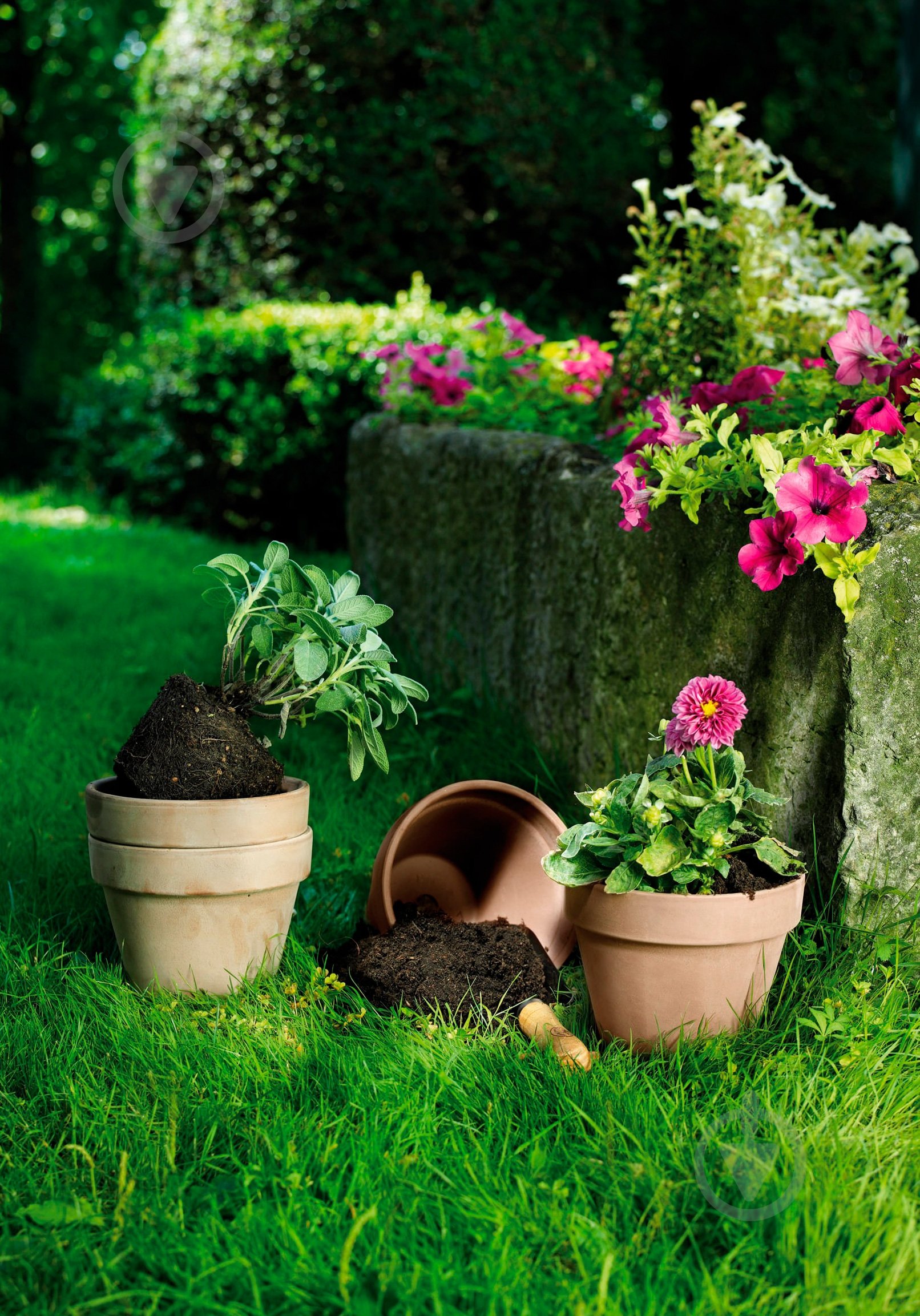 Горщик кераміка гладкий 19х18х2,9 круглий мокко 2,9 л DEROMA - фото 2