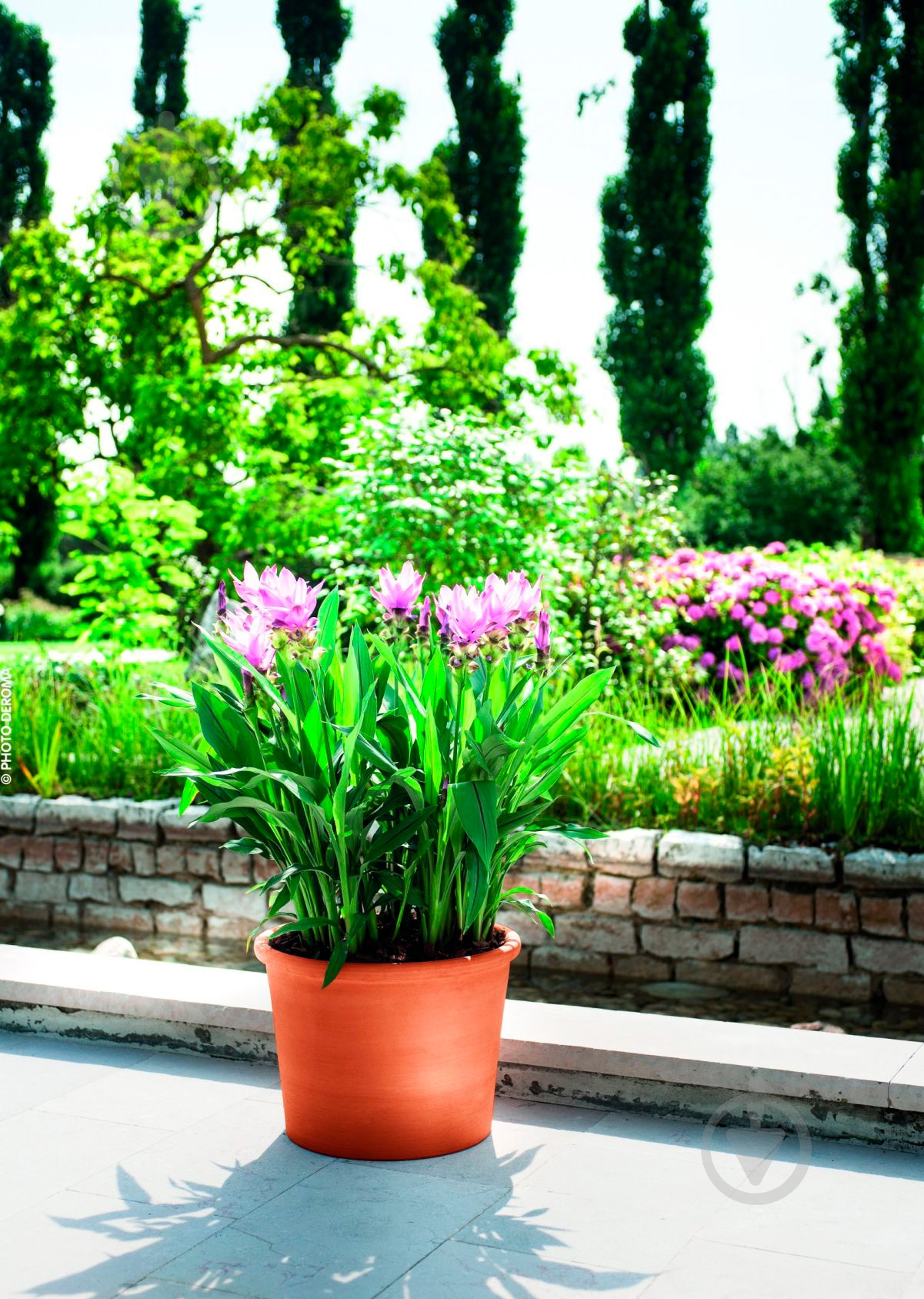 Горщик керамічний DEROMA циліндр 16х14х1,9 котто круглий - фото 2