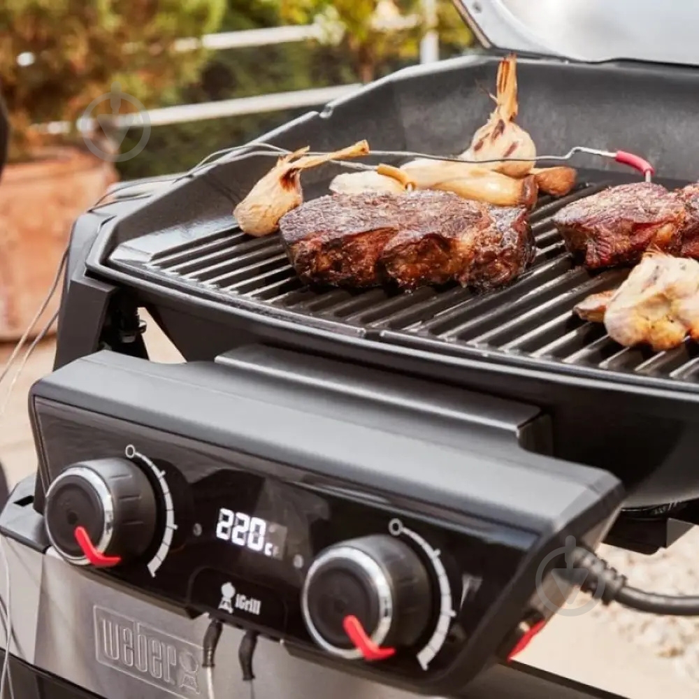 Гриль электрический Weber Pulse 2000 с подставкой - фото 5 Гриль электрический Weber Pulse 2000 с подставкой - фото 5