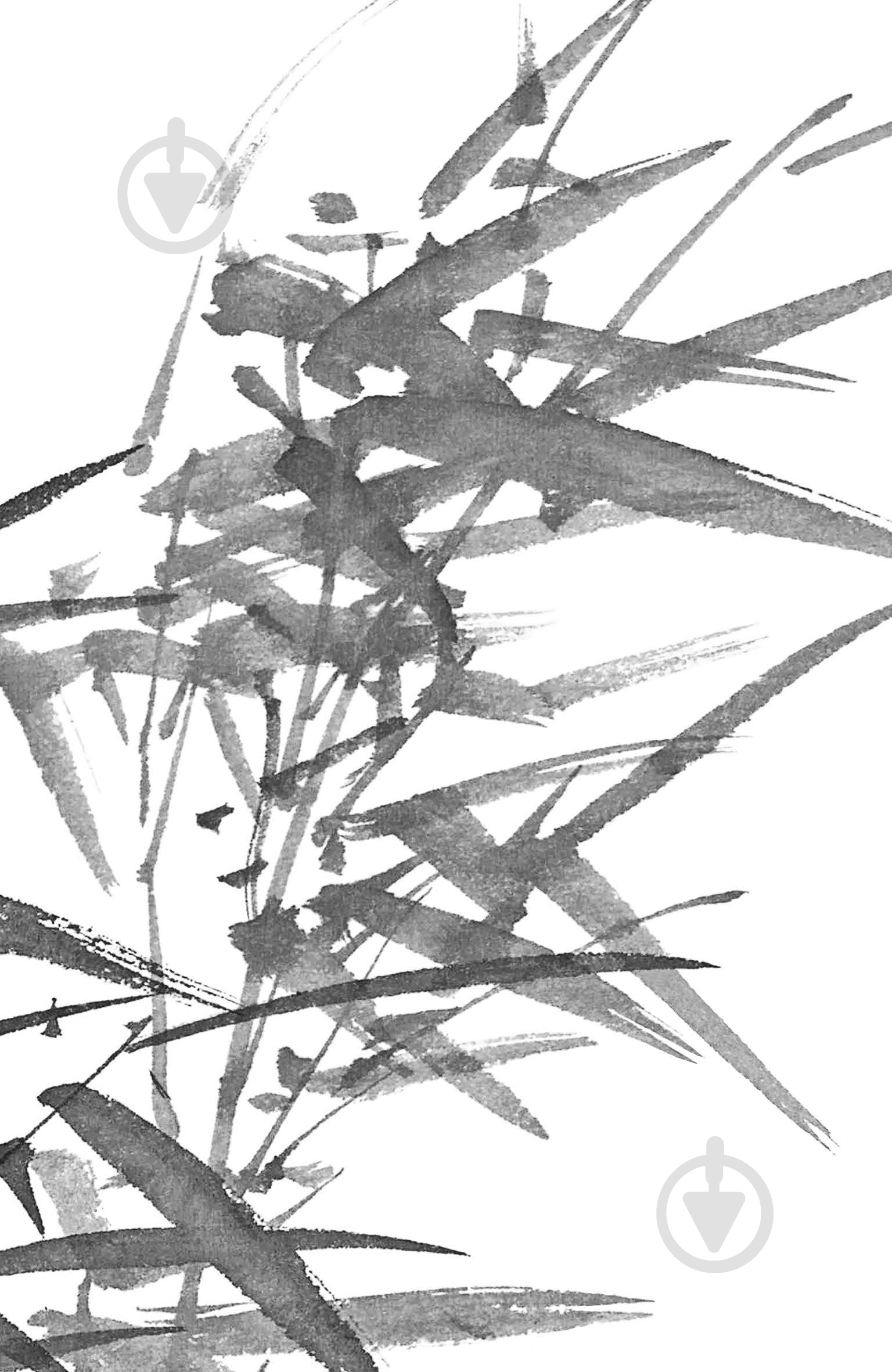 Книга Танидзаки Д. «Чорне біле» - фото 3 Книга Танидзаки Д. «Чорне біле» - фото 3