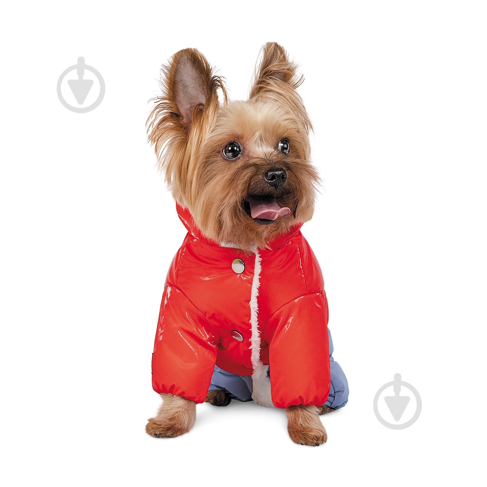 Костюм Pet Fashion PRETTY PR242263 - фото 2 Костюм Pet Fashion PRETTY PR242263 - фото 2