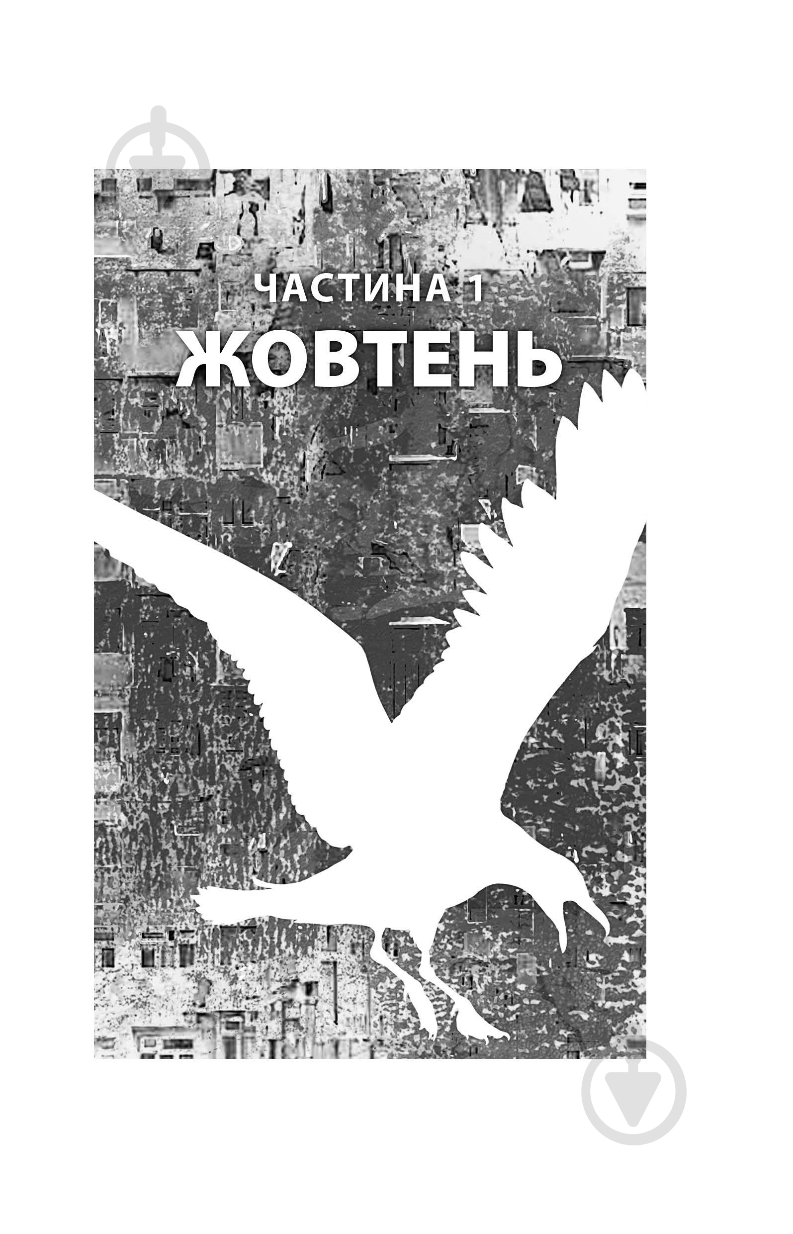 Книга Кевин Барри «Місто Боуган: Роман» - фото 3
