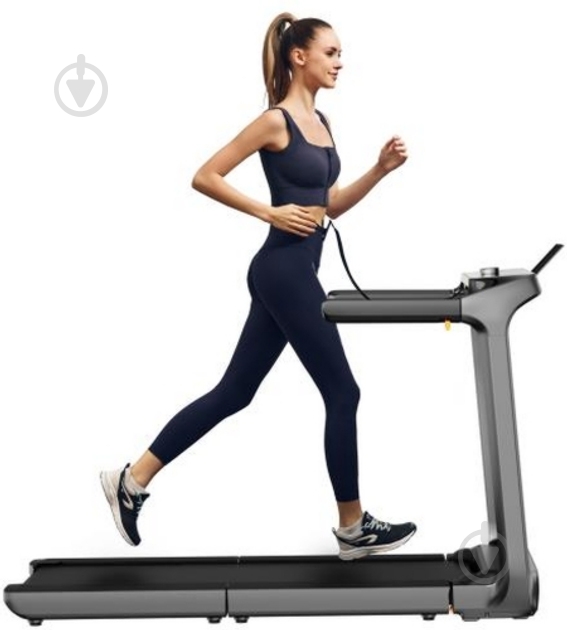 Беговая дорожка WalkingPad KingSmith (X218) - фото 4