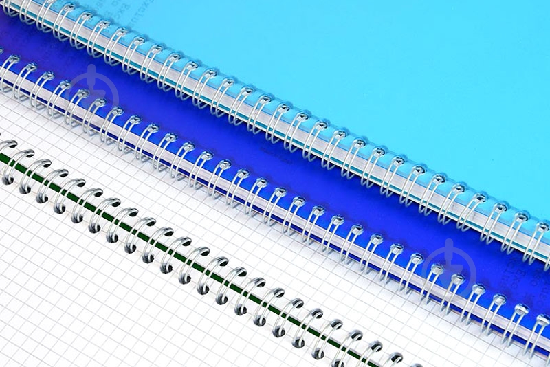 Блокнот Excluso A4 72 листа оранжевый с рисунком Mintra - фото 2 Блокнот Excluso A4 72 листа оранжевый с рисунком Mintra - фото 2