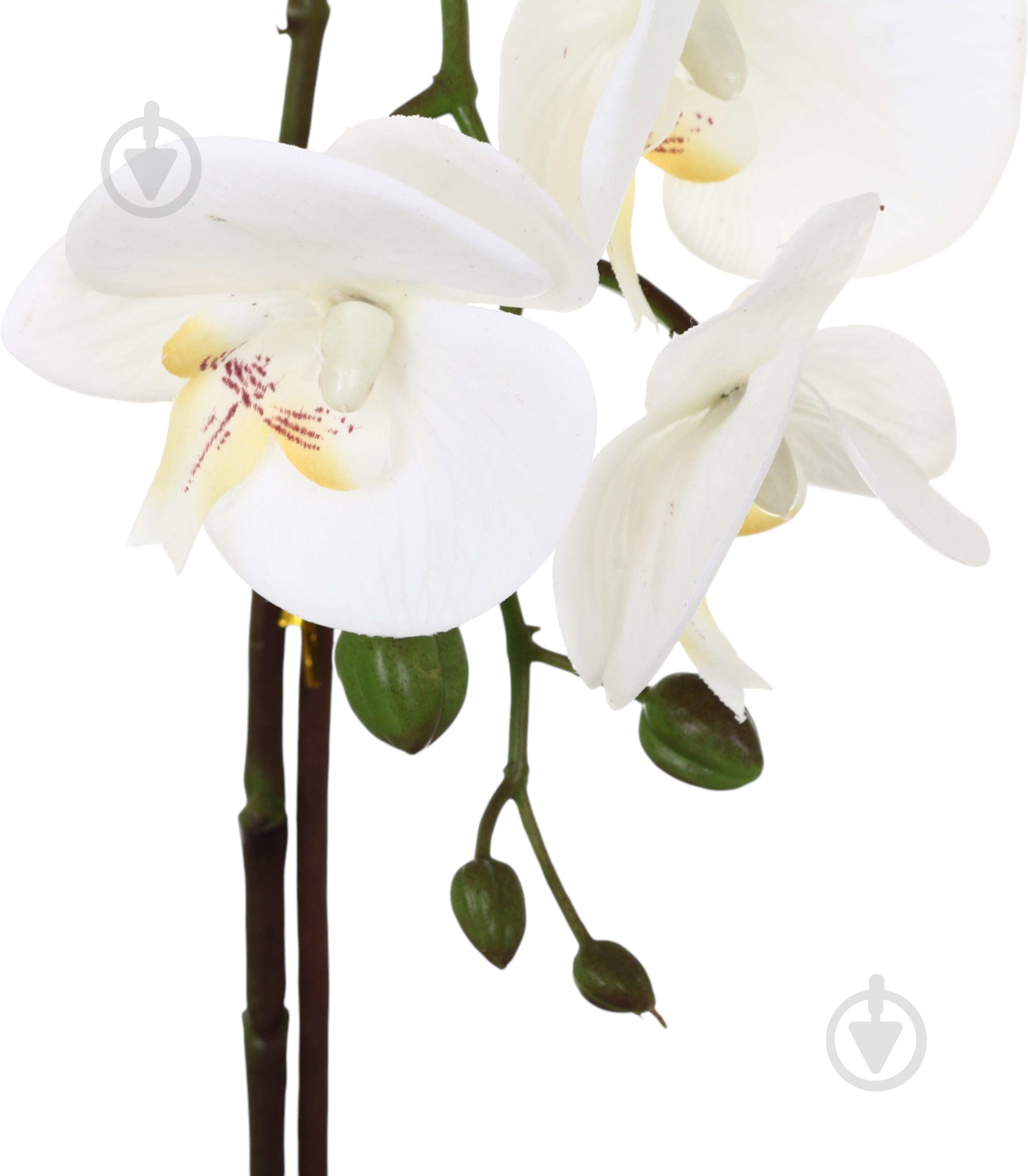 Цветок искусственный Орхидея Real Touch белая с желтой сердцевиной в горшочке 45 см - фото 3 Цветок искусственный Орхидея Real Touch белая с желтой сердцевиной в горшочке 45 см - фото 3