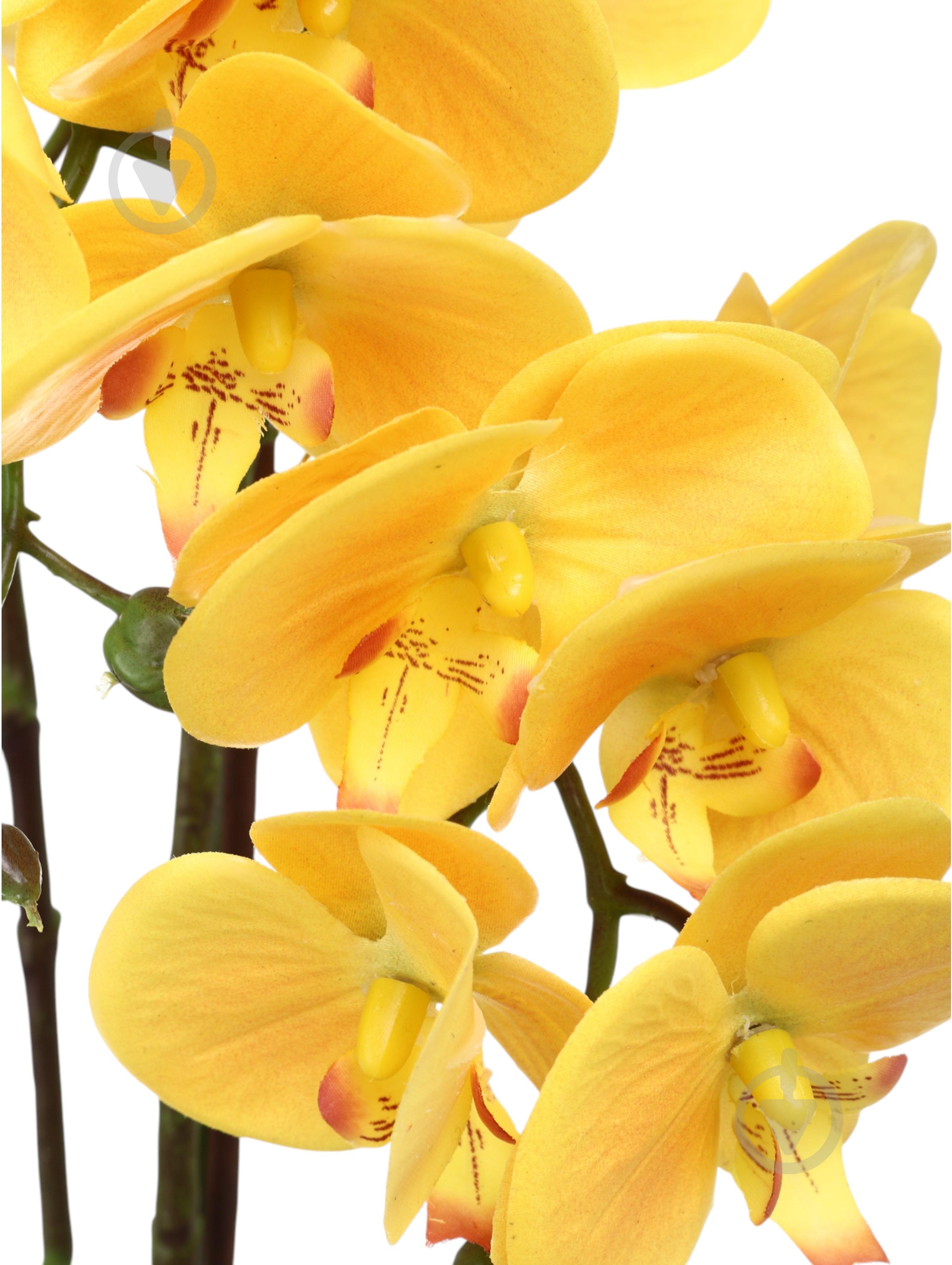 Цветок искусственный Орхидея желтая в золотом пластиковом горшке 62 см - фото 2 Цветок искусственный Орхидея желтая в золотом пластиковом горшке 62 см - фото 2