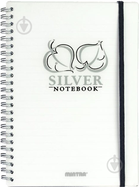 Блокнот Golden & Silver A6 80 аркушів срібло Mintra - фото 1