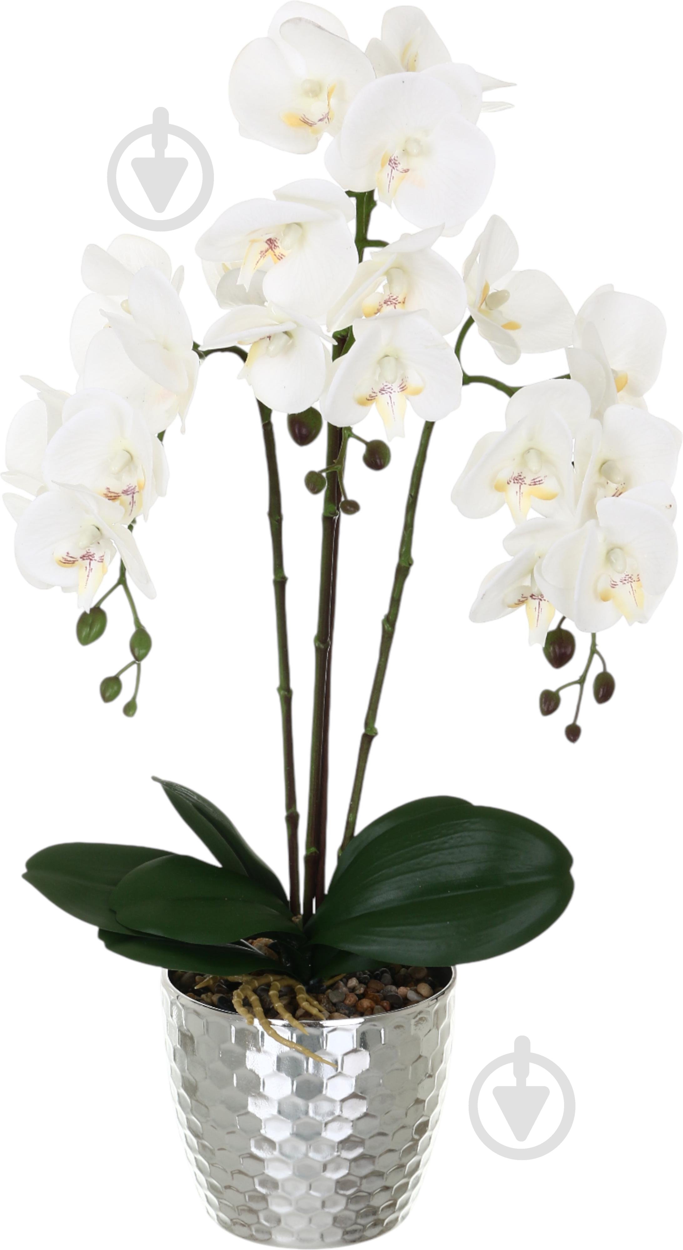 Цветок искусственный Орхидея Real Touch белая с желтой сердцевиной в горшочке 62см - фото 1