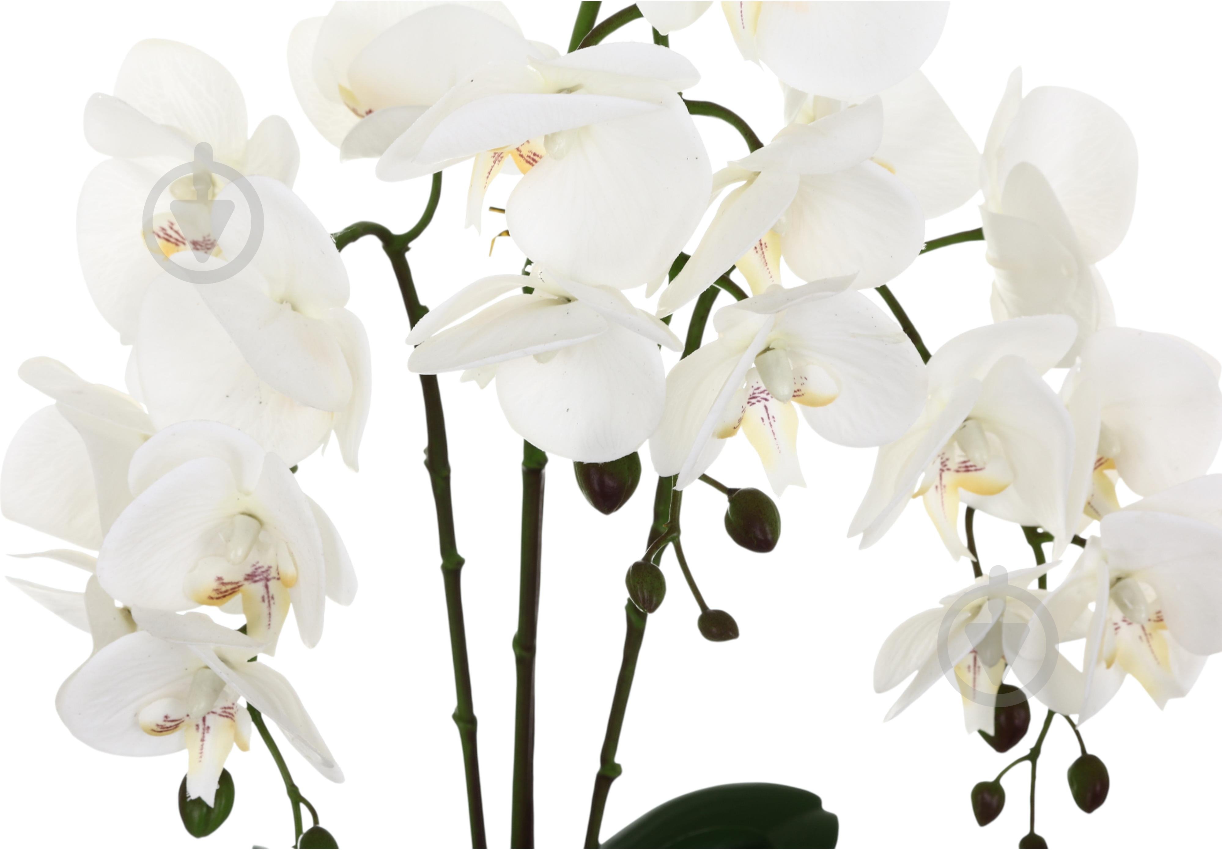 Цветок искусственный Орхидея Real Touch белая с желтой сердцевиной в горшочке 62см - фото 2