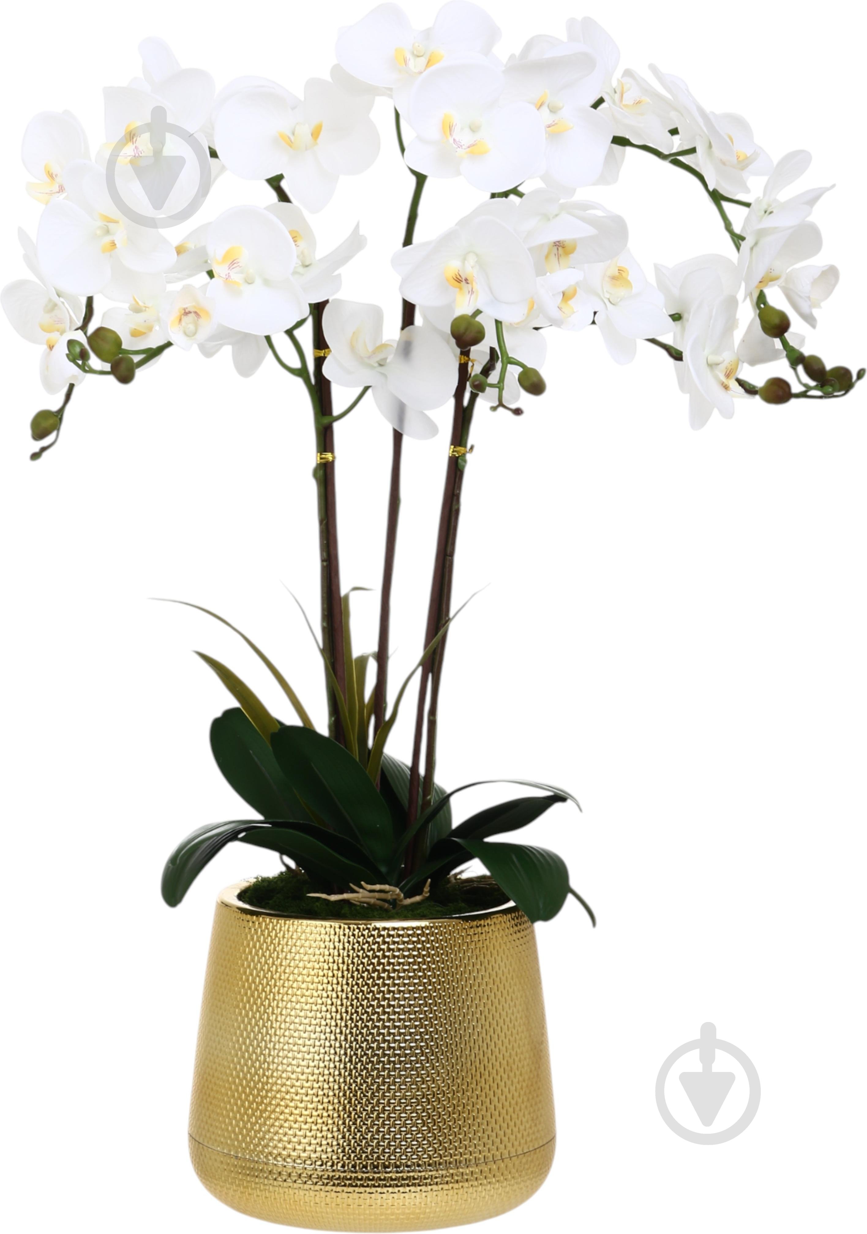 Цветок искусственный Орхидея белая в золотом пластиковом горшке 88 см - фото 1 Цветок искусственный Орхидея белая в золотом пластиковом горшке 88 см - фото 1