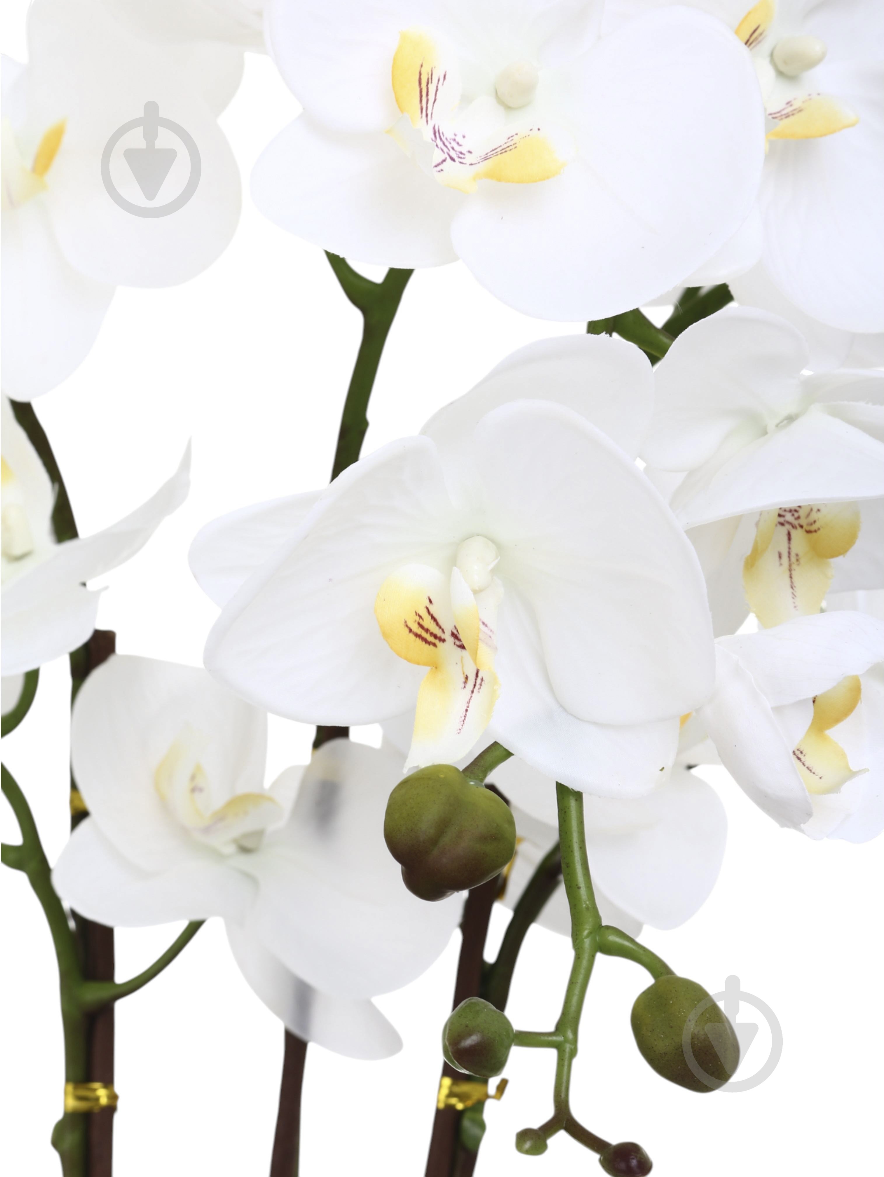 Цветок искусственный Орхидея белая в золотом пластиковом горшке 88 см - фото 2 Цветок искусственный Орхидея белая в золотом пластиковом горшке 88 см - фото 2